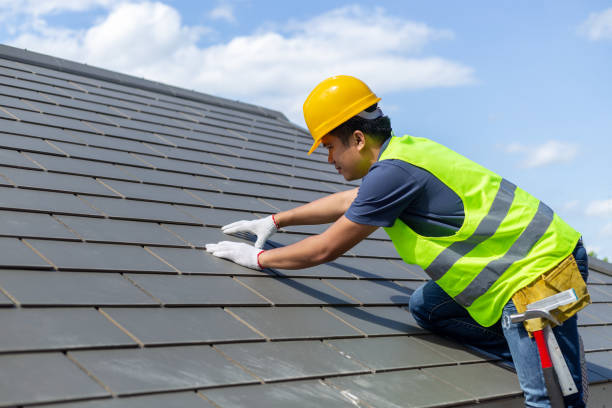 Best Roof Gutter Cleaning  in Brownville, NJ
